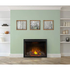 Napoleon 40 in. Built-in Electric Firebox Insert