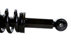 AutoShack Front Complete Struts and Coil Springs Set of 2 Driver and Passenger Side Gentlemen for 2009 2010 2011 2012 2013 Ford F-150 3.5L 3.7L 4.6L 5.0L 5.4L V6 V8 4WD CST100203PR