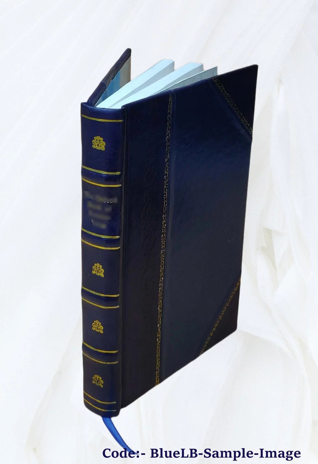 Fellowship hymns 1923 [Leather Bound]