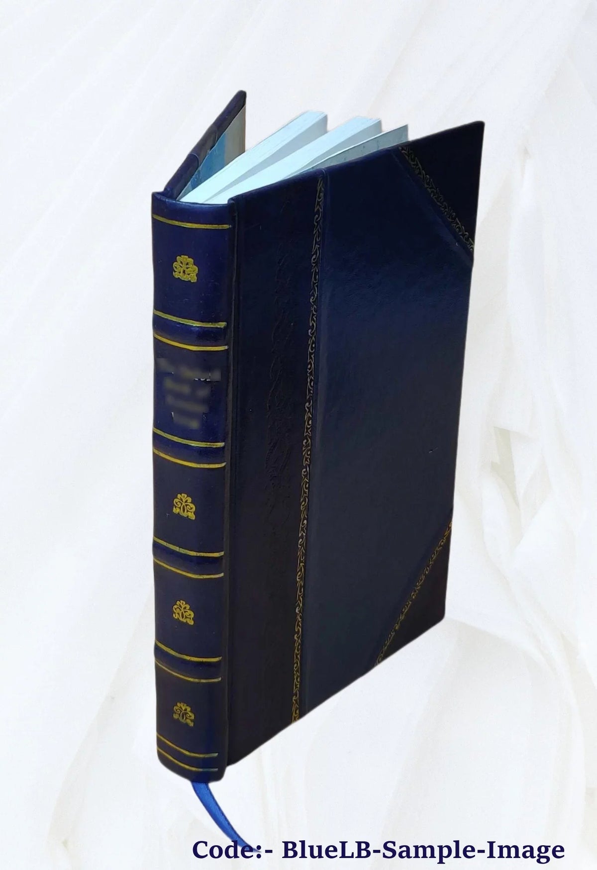 San Remo climatically and medically considered 1883 [Leather Bound]