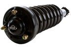 AutoShack Front Complete Struts and Coil Springs Set of 2 Driver and Passenger Side Gentlemen for 2009 2010 2011 2012 2013 Ford F-150 3.5L 3.7L 4.6L 5.0L 5.4L V6 V8 4WD CST100203PR
