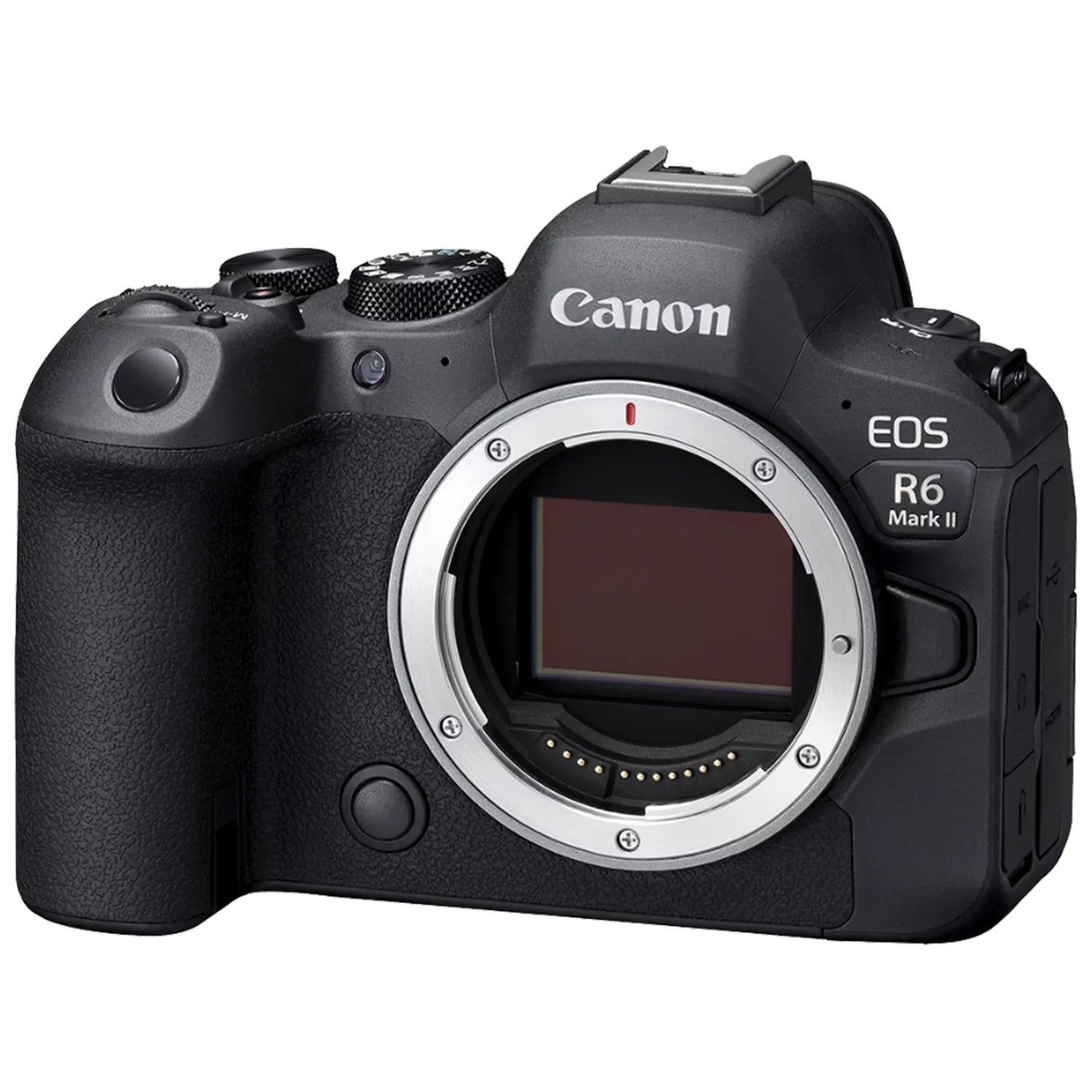 Canon EOS R6 Mark II Mirrorless Camera with RF 24-105mm Lens + EF 75-300mm + SanDisk 128GB Memory Card + Case + LED Flash+ ZeeTech Accessory Bundle