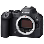Canon EOS R6 Mark II Mirrorless Camera with RF 24-105mm Lens + EF 75-300mm + Mount Adapter + SanDisk 32GB Memory Card + Case + LED Flash + ZeeTech Accessory Bundle