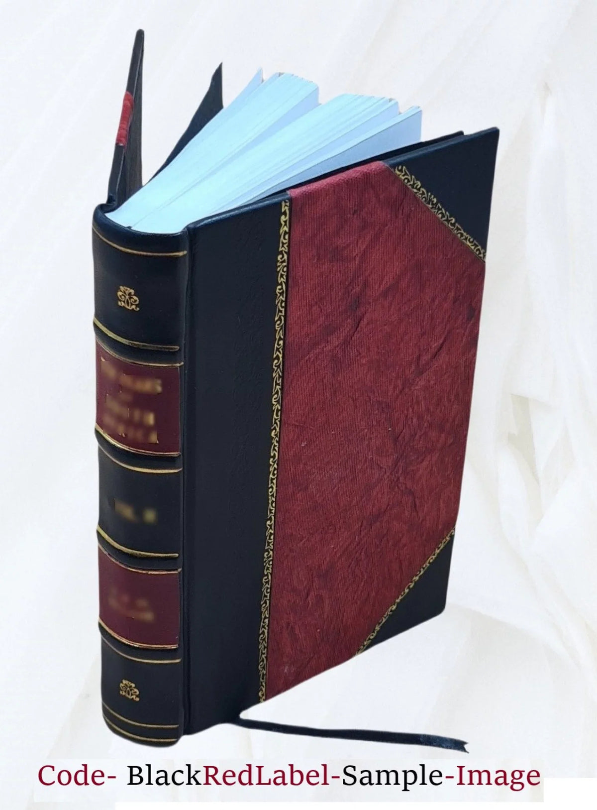 San Remo and the western Riviera climatically and medically considered 1883 [Leather Bound]