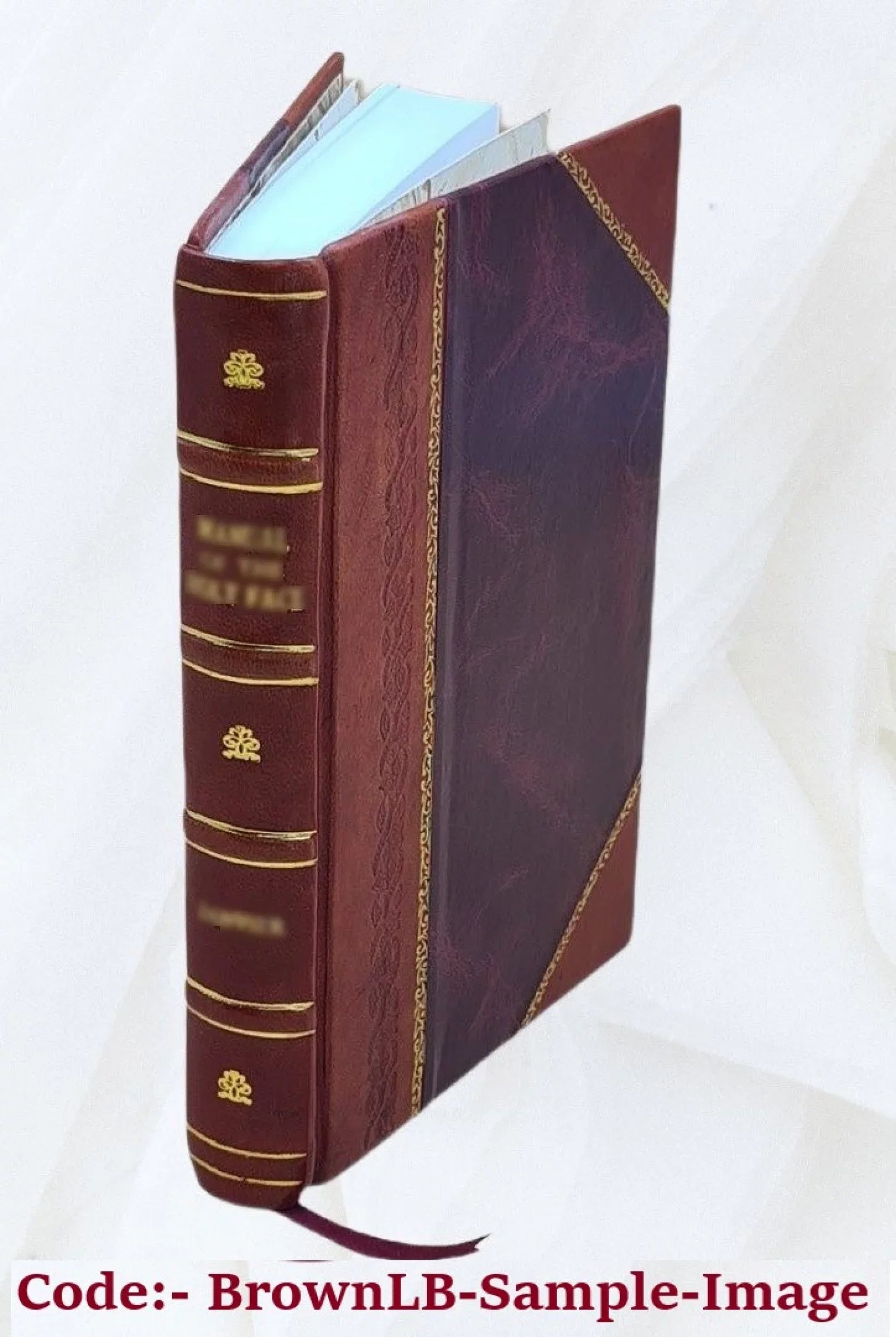 Die Meistersinger von Nürnberg Volume 1 1900 [Leather Bound]