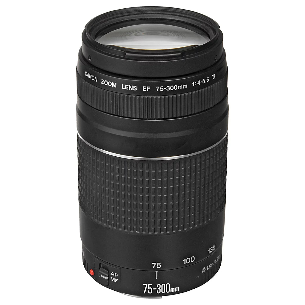 Canon EOS R6 Mark II Mirrorless Camera with RF 24-105mm Lens + EF 75-300mm + Mount Adapter + SanDisk 32GB Memory Card + Case + LED Flash + ZeeTech Accessory Bundle