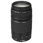 Canon EOS R6 Mark II Mirrorless Camera with RF 24-105mm Lens + EF 75-300mm + Mount Adapter + SanDisk 32GB Memory Card + Case + LED Flash + ZeeTech Accessory Bundle