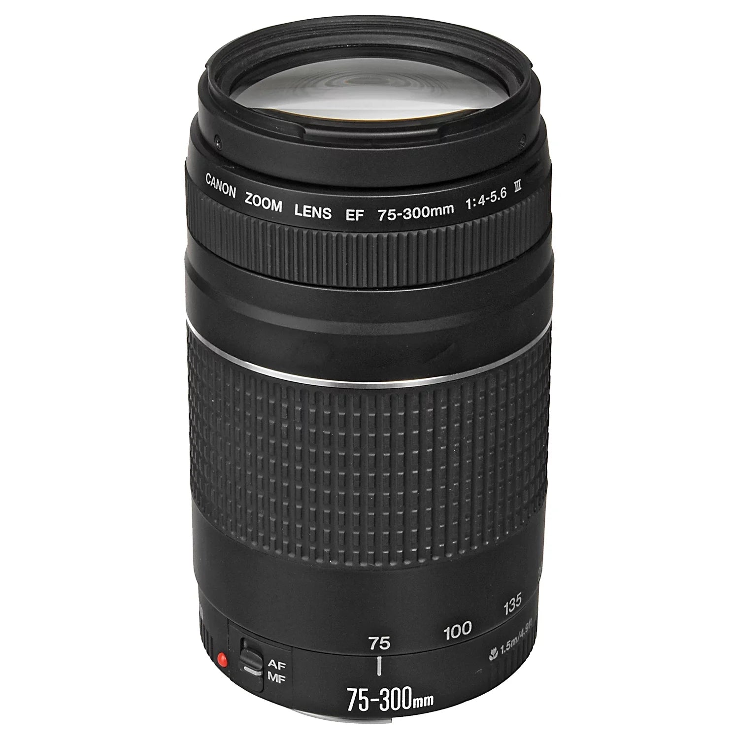 Canon EOS R6 Mark II Mirrorless Camera with RF 24-105mm Lens + EF 75-300mm + Mount Adapter + SanDisk 32GB Memory Card + Case + LED Flash + ZeeTech Accessory Bundle